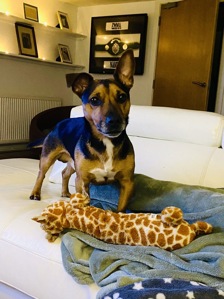 Simon Ross tweet media