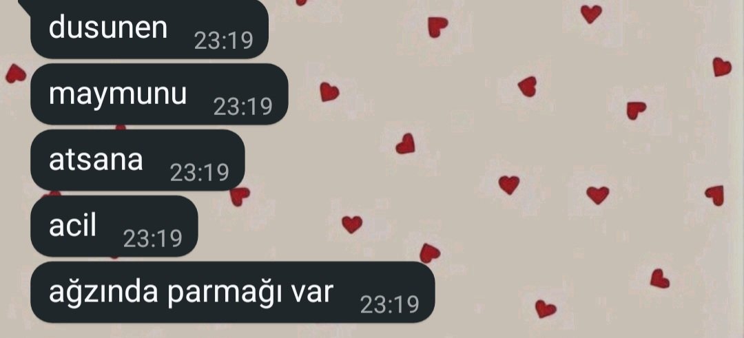 Hülya Coşkun tweet media