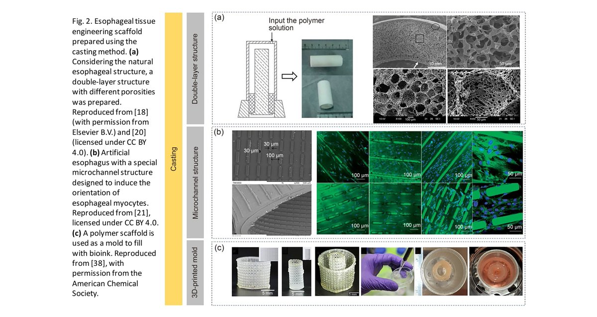Bio-Design and Manufacturing tweet media