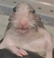 Annmooren tweet media