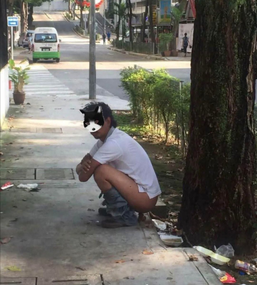 Recojan las heces de sus #Therian 
#ViernesdeCrueldad ⁦<a href="/DenDeLaFuentee/">Den de la fuente</a>⁩