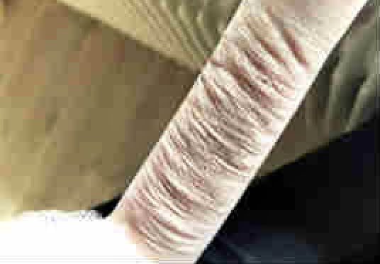 let's dive into reality