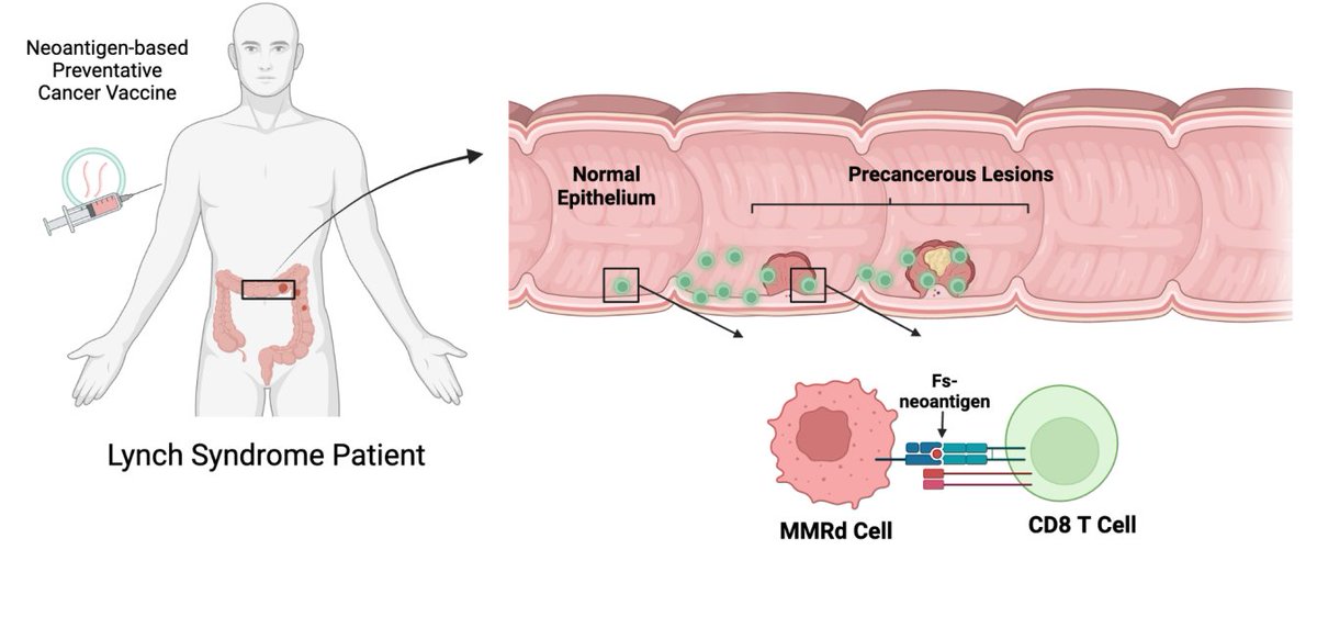Cancer Immunoprevention Network tweet media