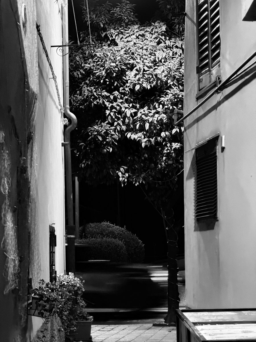 Alonein43672278's tweet image. #photography #blackandwhite #alley #car #tree
