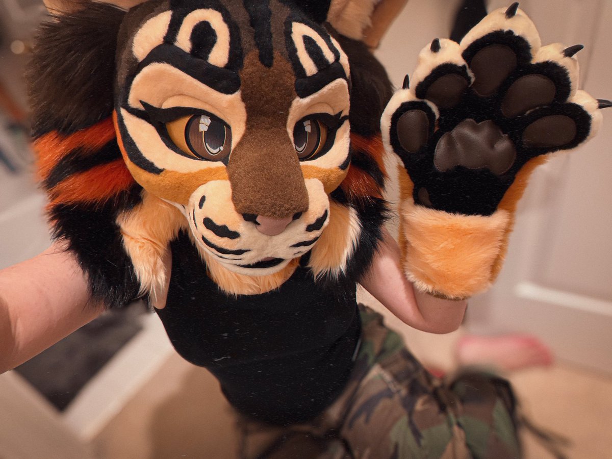 Loki🌵 tweet media