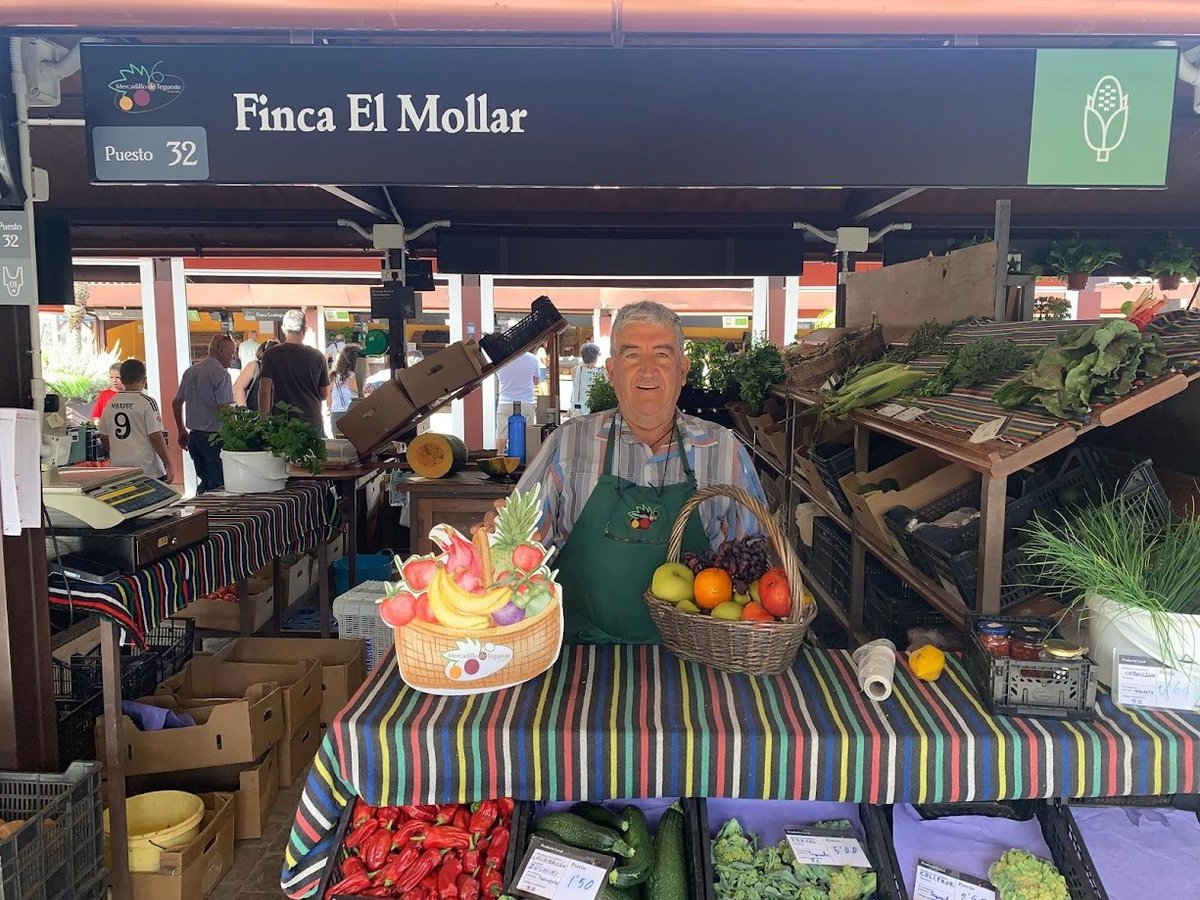 🌱 Finca El Mollar – Puesto nº 32
Productos frescos y de temporada de huertas propias: verduras, frutas, huevos camperos y su vino artesanal.
🌿 Tradición familiar y sabores auténticos.
💚 Mercadillo de Tegueste