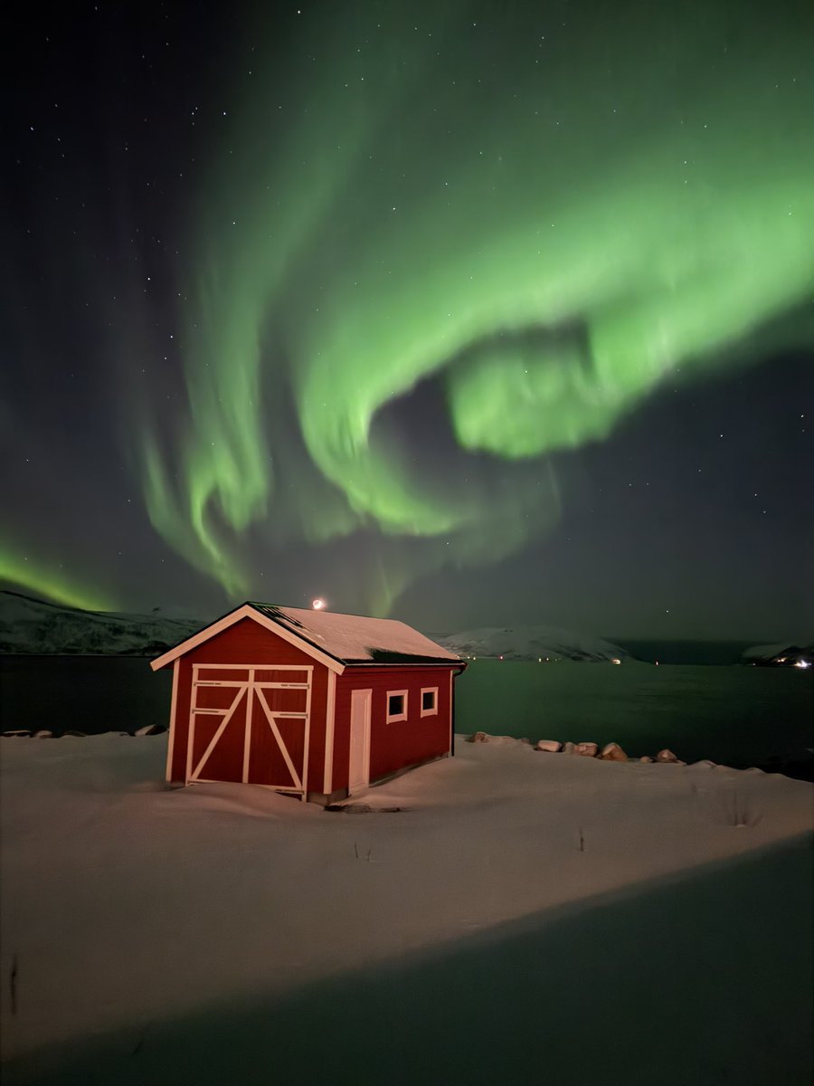 Steven Terlaeken 🌈 🇧🇪🇧🇪🇧🇪 🏳️🌈 tweet media