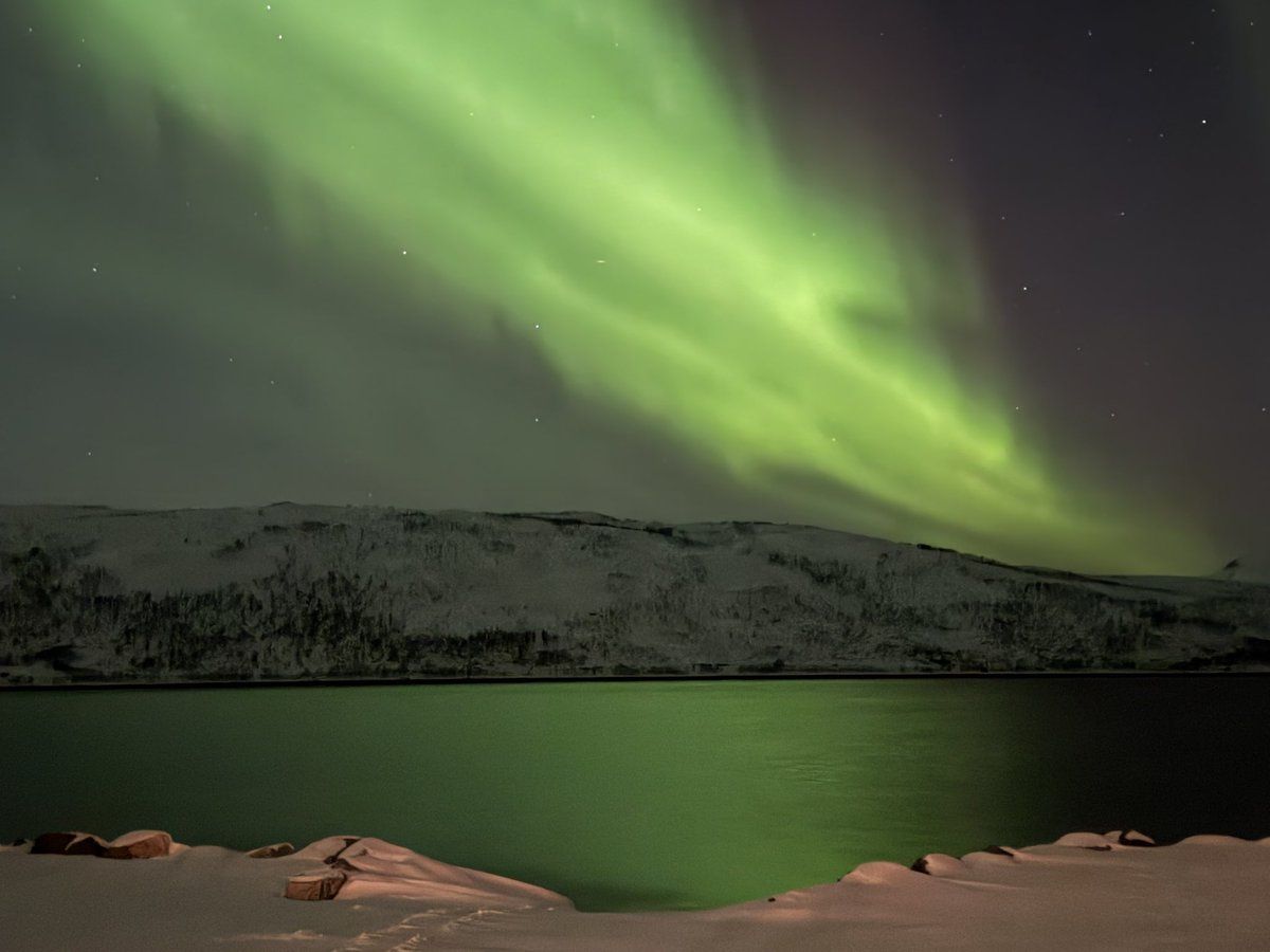 Steven Terlaeken 🌈 🇧🇪🇧🇪🇧🇪 🏳️🌈 tweet media