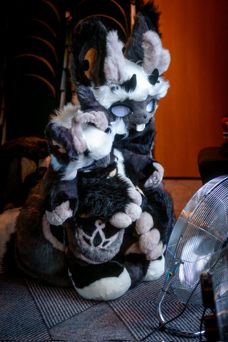 baileystarpup's tweet photo. In this picture I've been in the Kemono meet at Scotiacon for 2 minutes and I'm already overheating in my fully lined kemono fursuit 😅

📸: @TechWolfPhotos 

#FursuitFriday https://t.co/7t2M9IrOnd