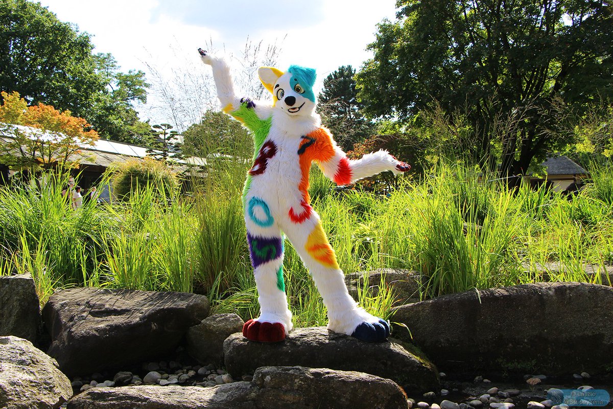 Lumi / Numbrs 🔜NFD 2026 / Furciety / EF2026 tweet media