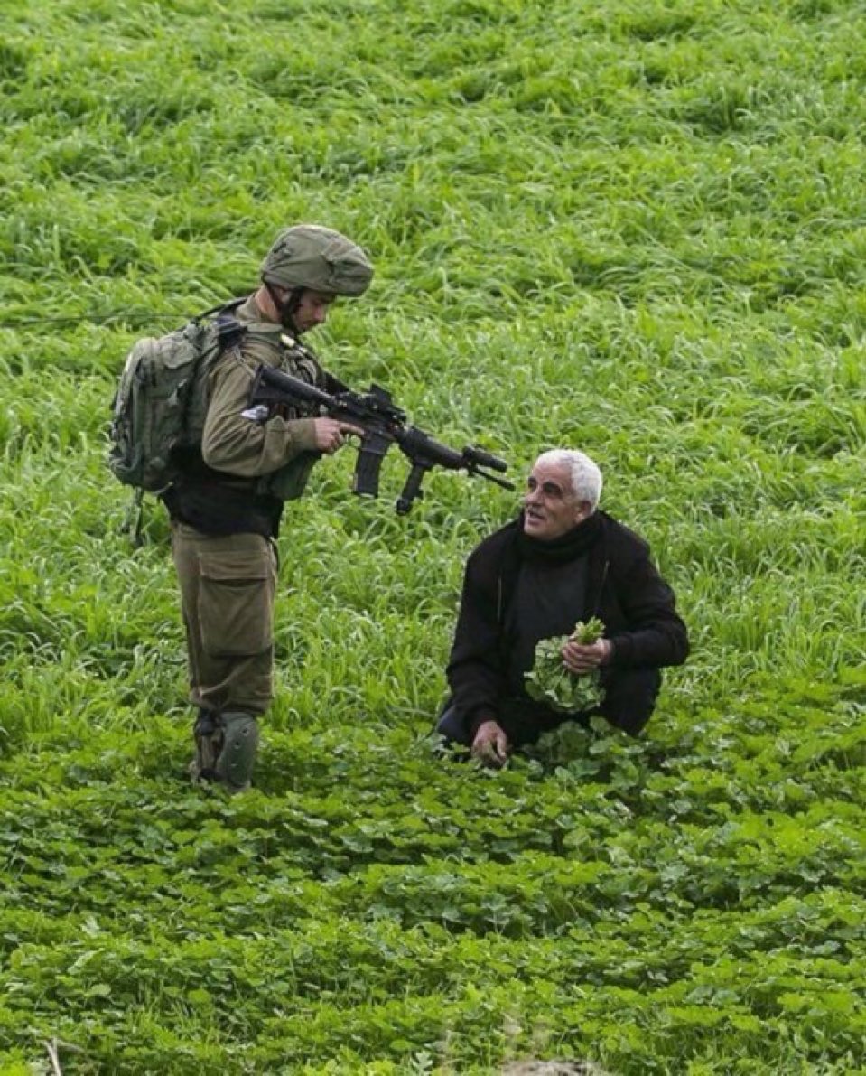 لا تتوقف عن النشر فصمتك خيانة