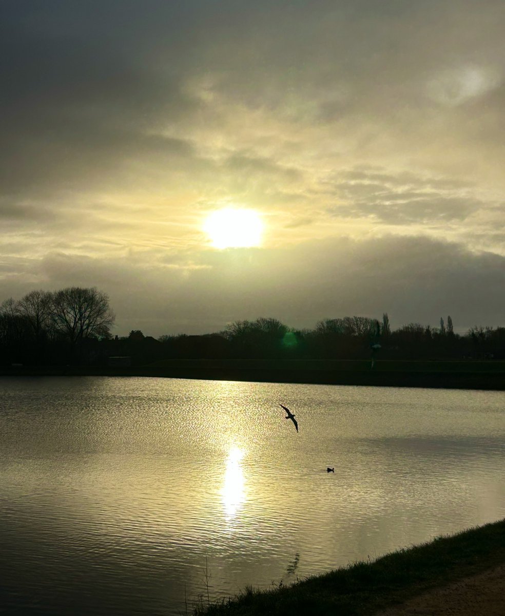 Jane Sarah Matthews tweet media