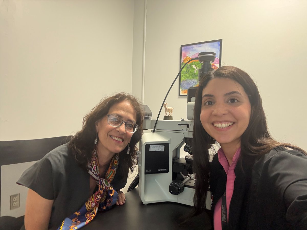 Elizabeth Montgomery, MD tweet media