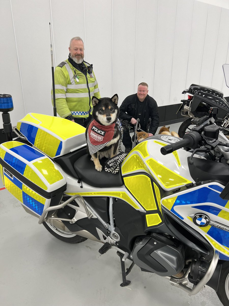 Karen jones tweet media