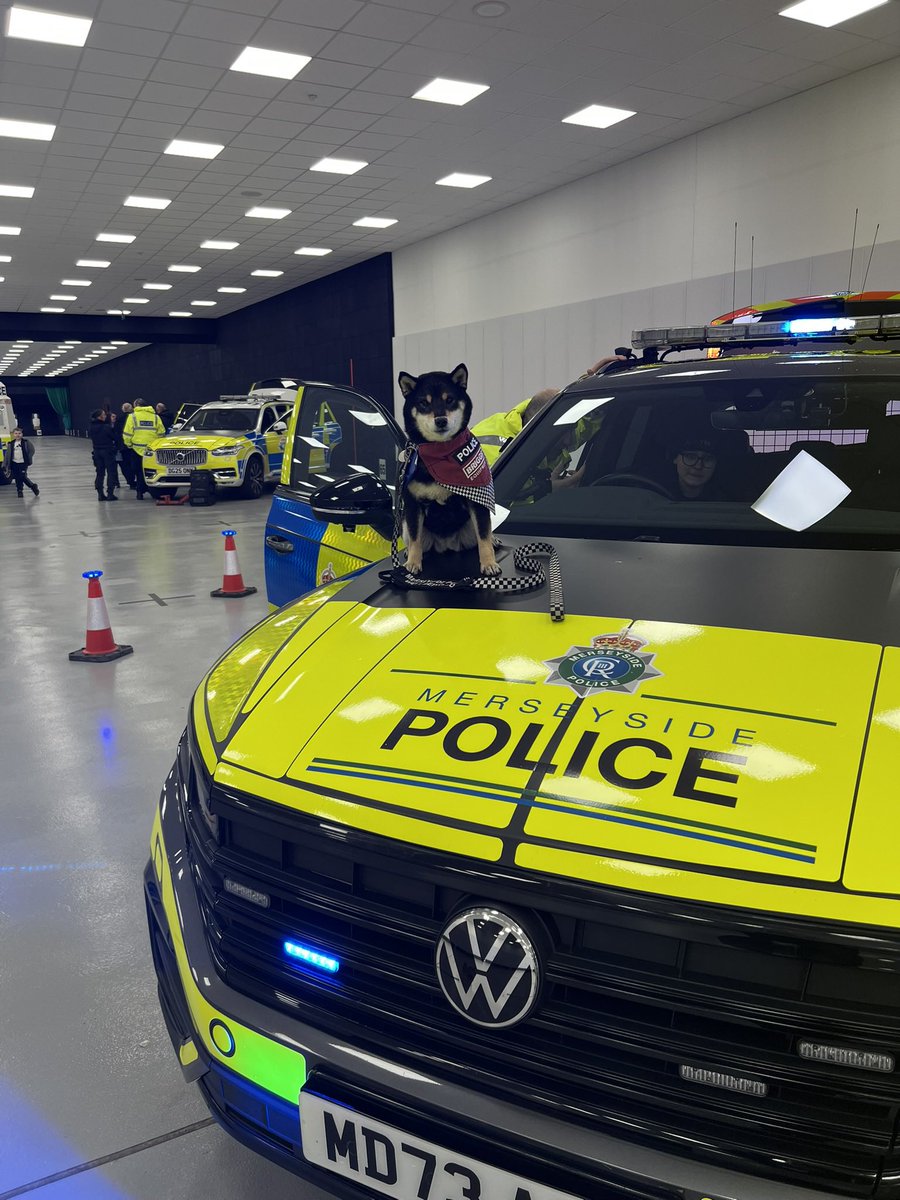 Karen jones tweet media