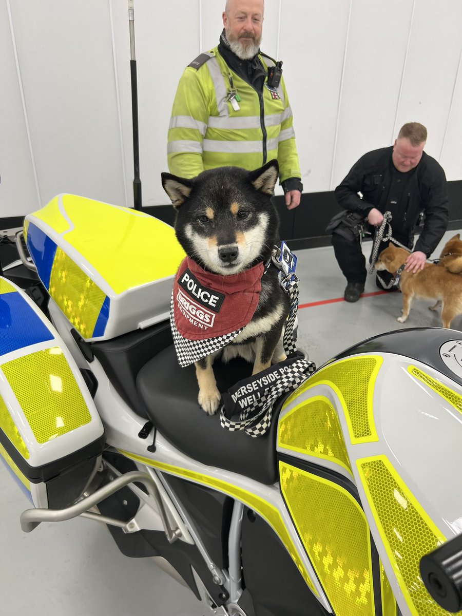 Karen jones tweet media