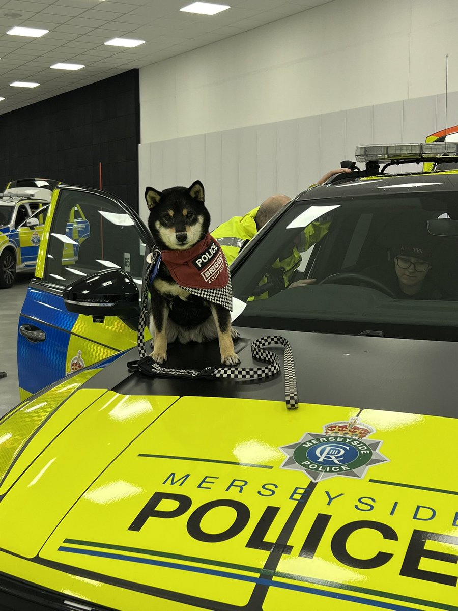 Karen jones tweet media