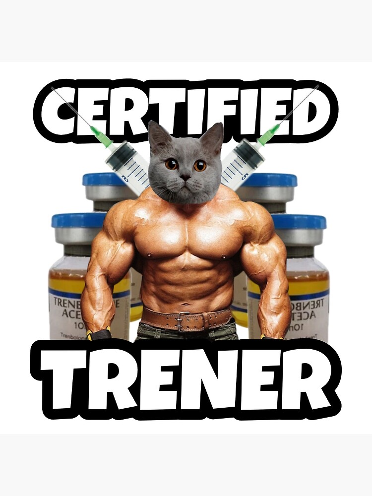 Cat Nihon tweet media