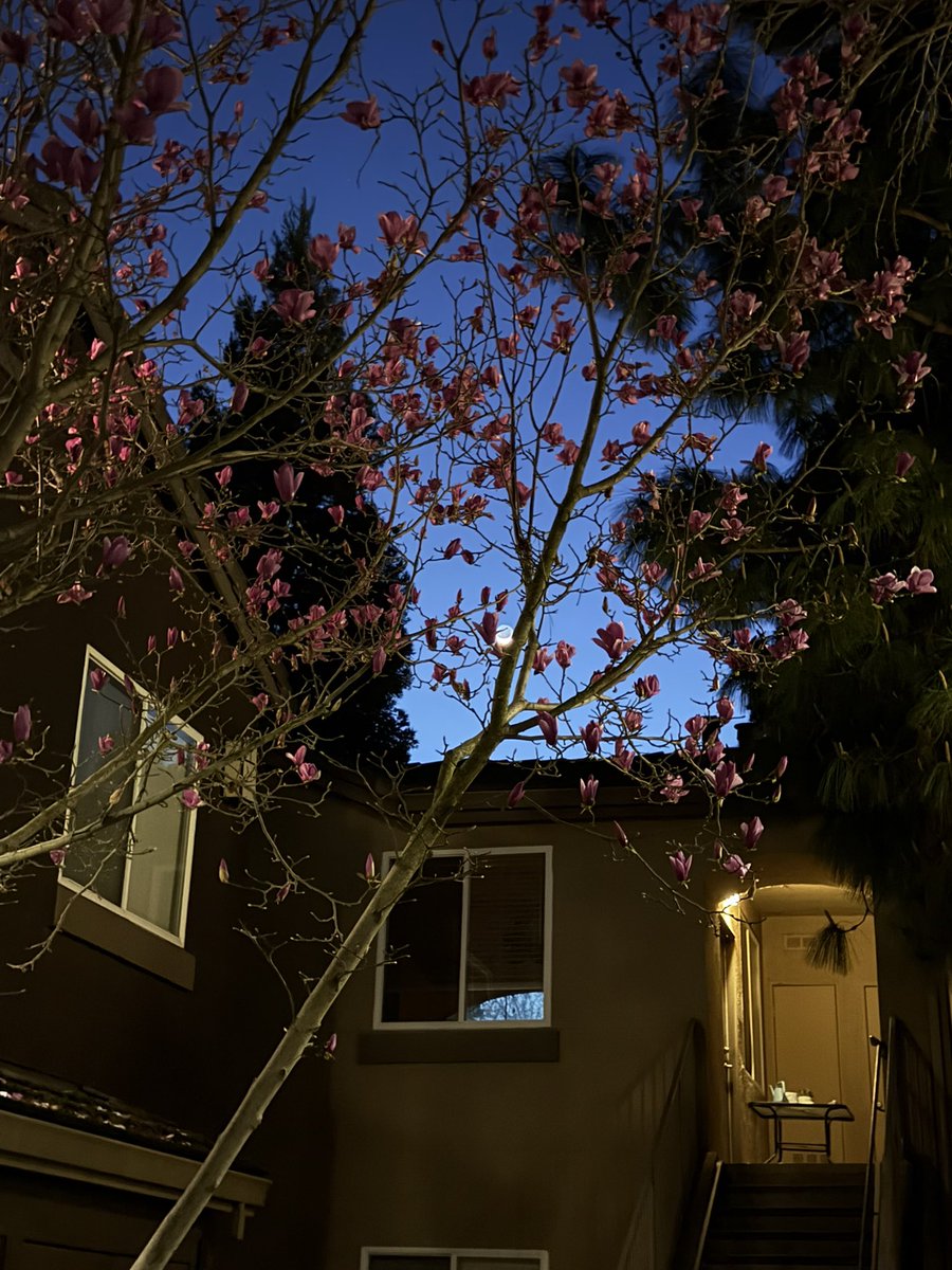 par (@par_o7) on Twitter photo 