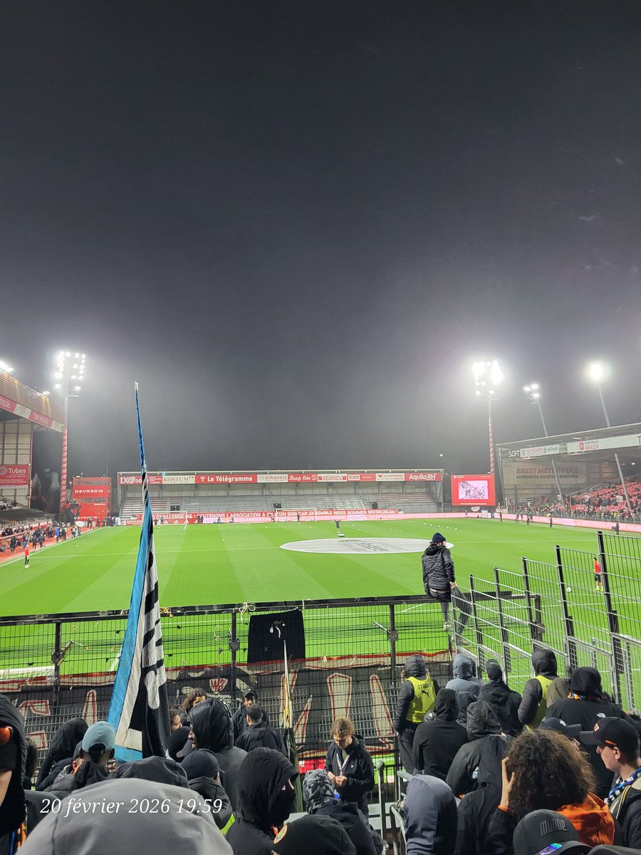 XenOMorphA22 tweet media