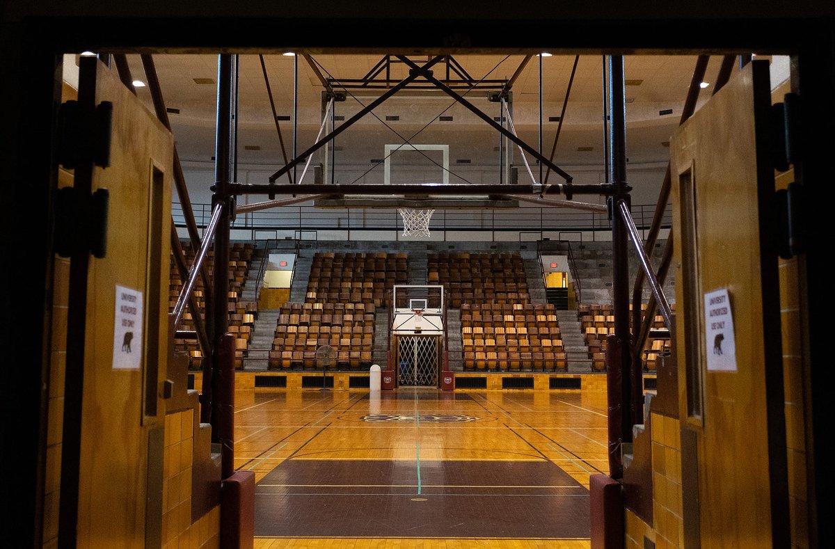 Show-Me Hoops tweet media