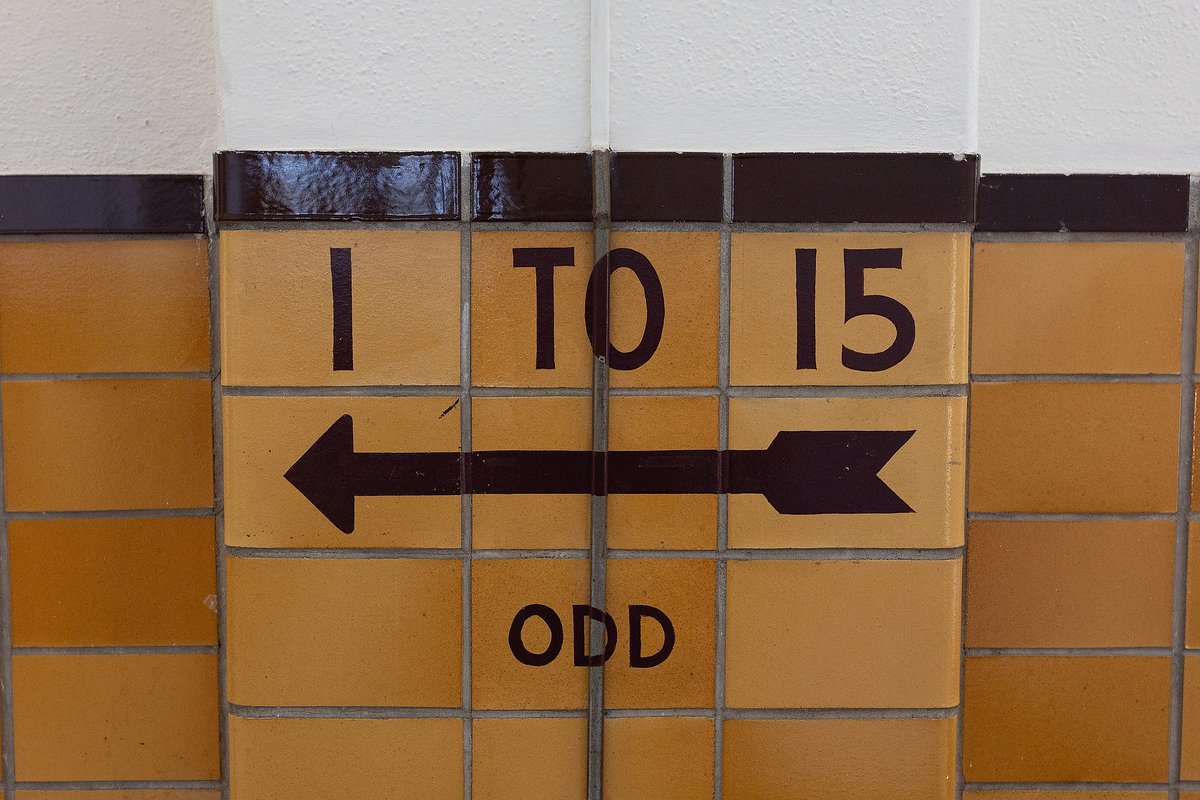 Show-Me Hoops tweet media