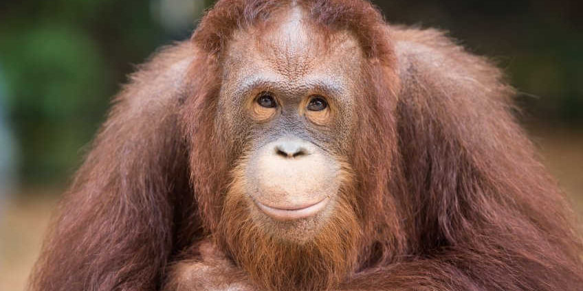 Joe Contrera tweet media