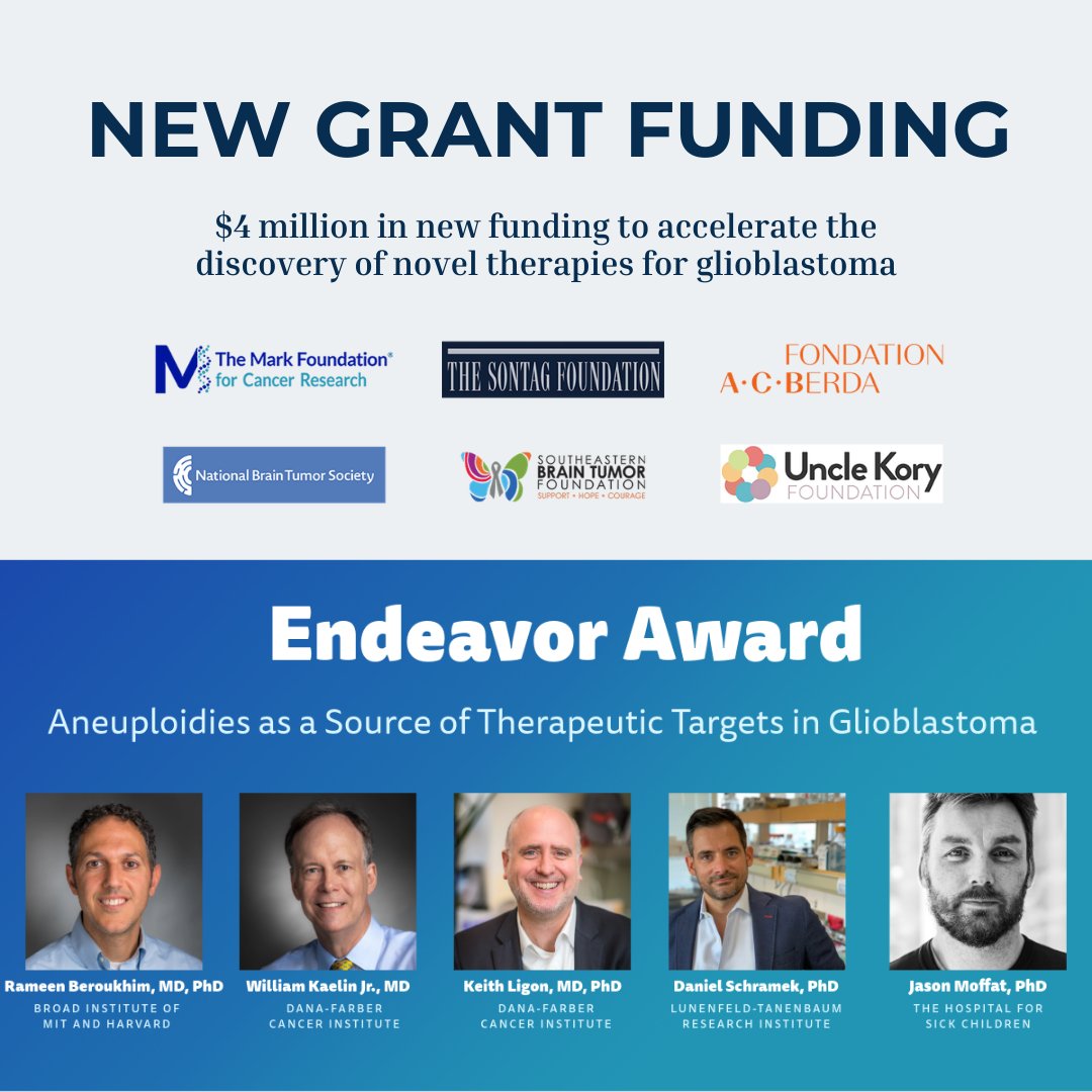 The Sontag Foundation tweet media