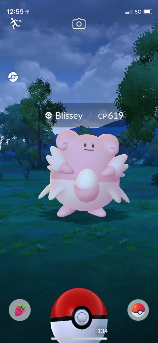 JohnPatrick_101's tweet image. #Blissey #NormalTypePokemon #PokemonGoAustralia #PokemonGoApp #CombatPower #BlisseyCP619 #PokemnGo #Pokemon @PokemonGoNews