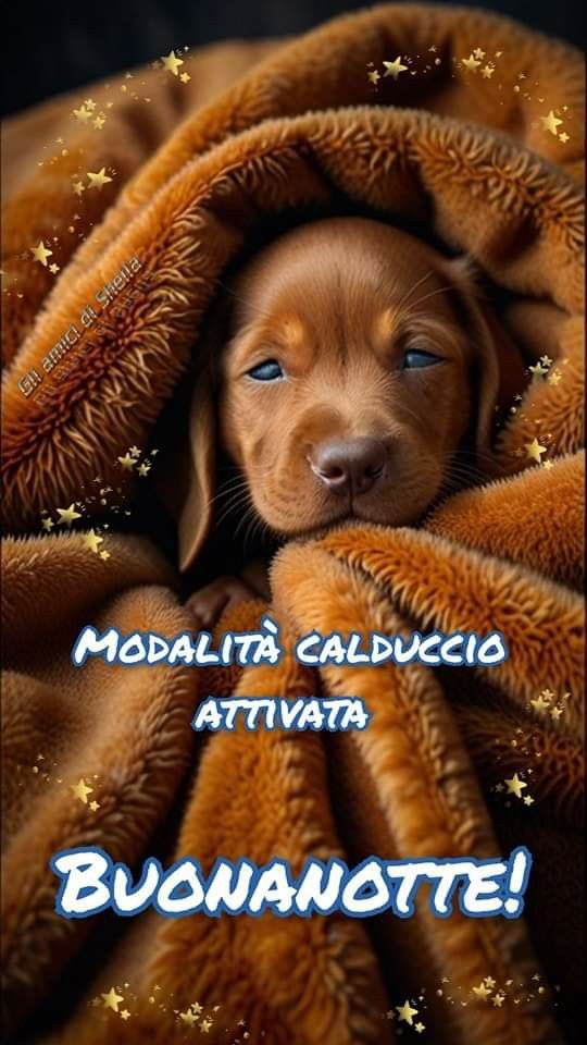 RITABIANCHi56 tweet media