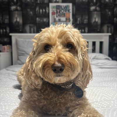 Sentinel_Vaults's tweet photo. #NewProfilePic https://t.co/3mHfmV5Usx