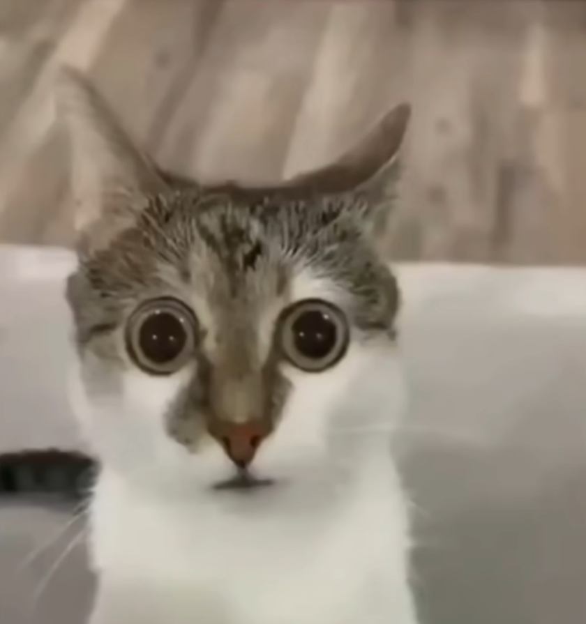 Annmooren tweet media