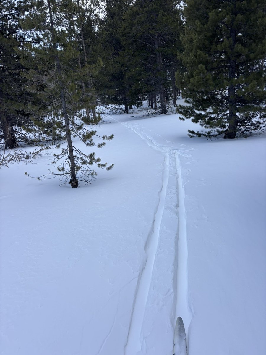 Kyle Hollingsworth tweet media