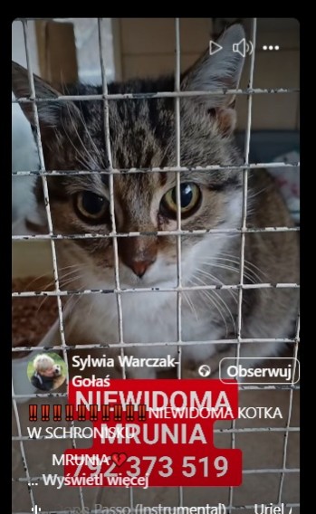 Niewidoma Mirunia potrzebuje kochanego domu