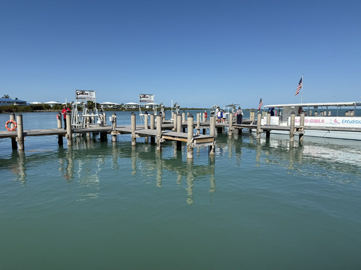 Raquel Rothe tweet media