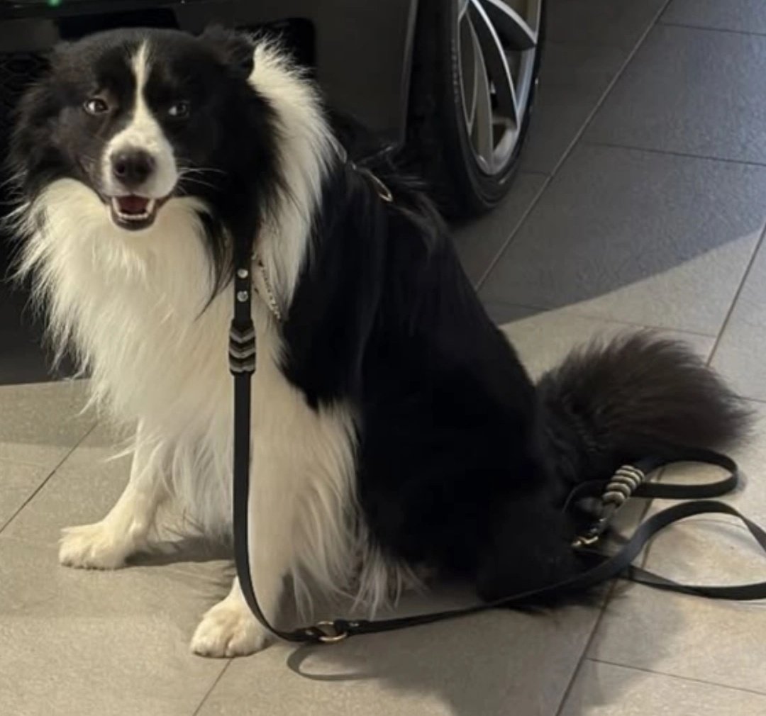 BITGENIUSX tweet media