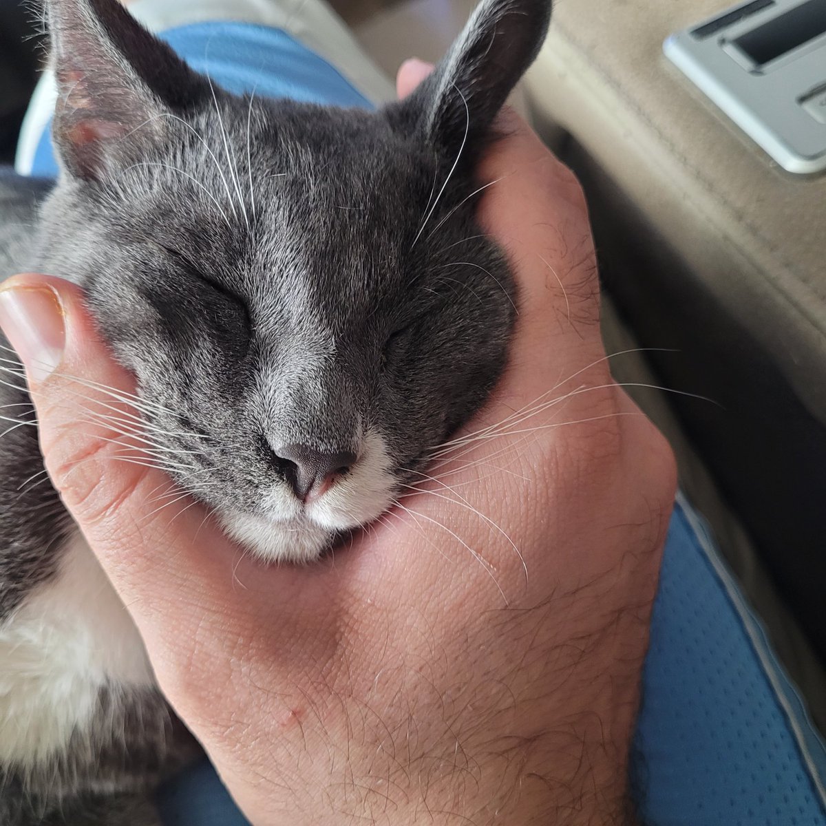 The Dragon's Treasure tweet media