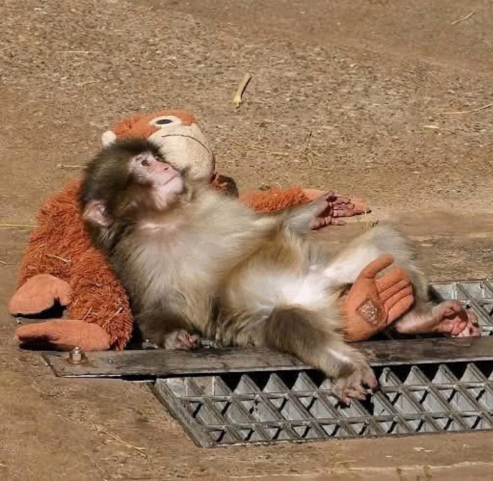 se siente bn aburrido el día hoy estoy así