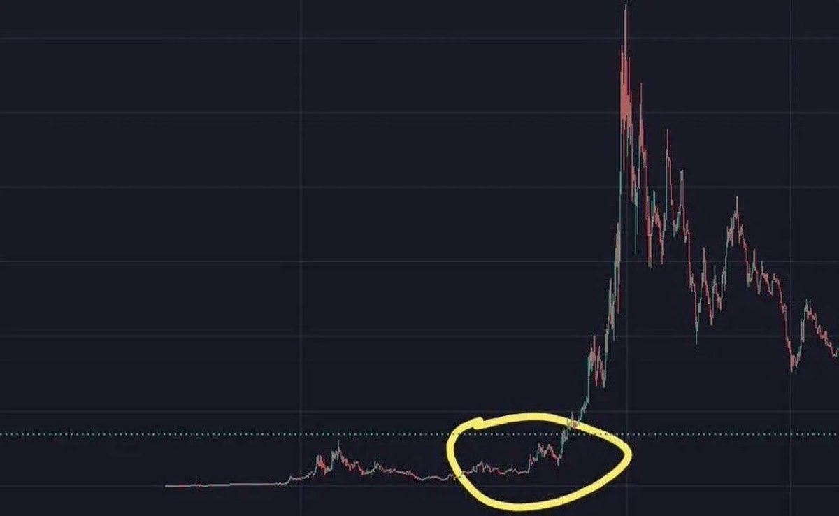 BinsaeedRashid's tweet image. What memecoin is here?