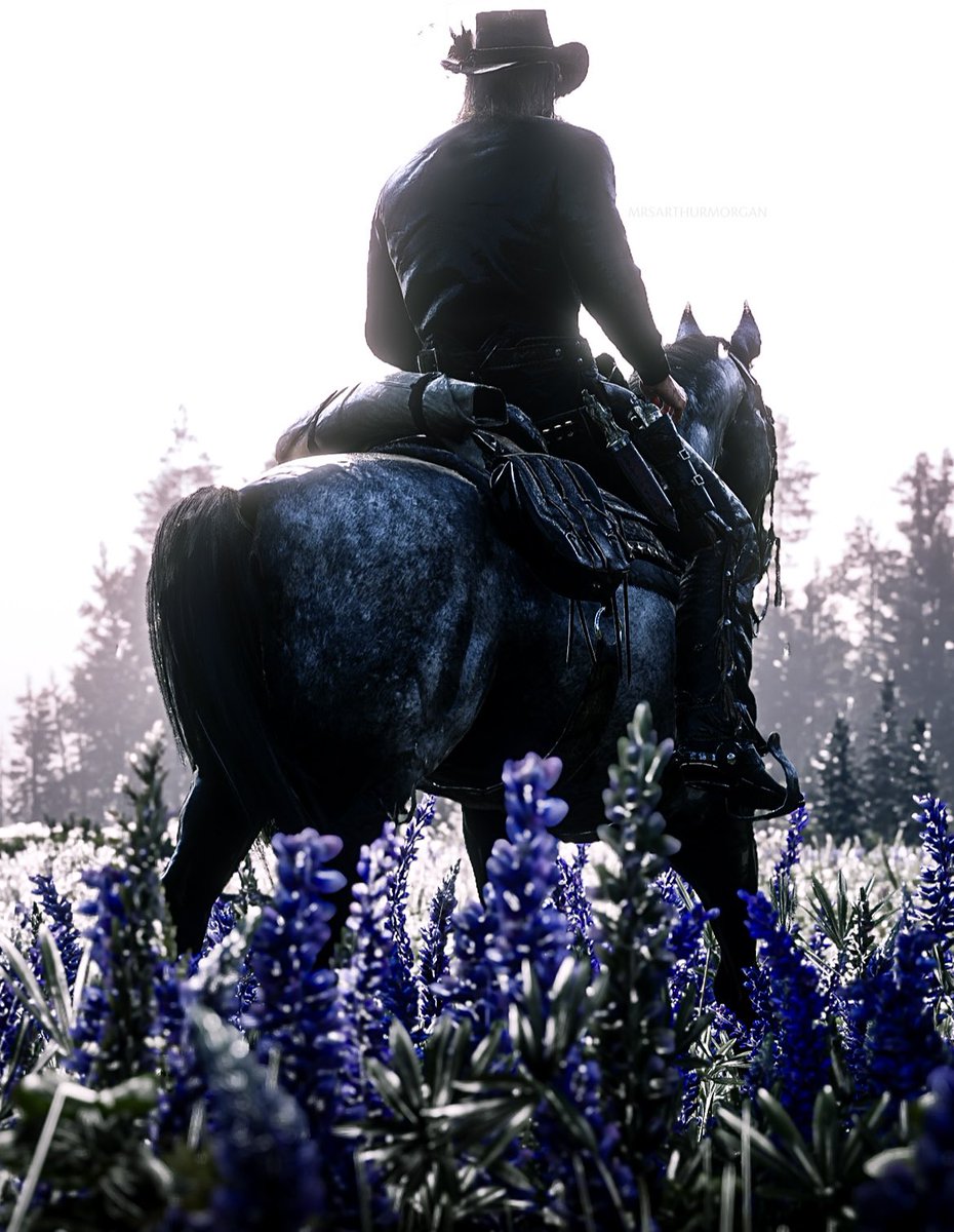 Such a beautiful spot 🪻

#RedDeadRedemption2 #ArthurMorgan #rockstargames