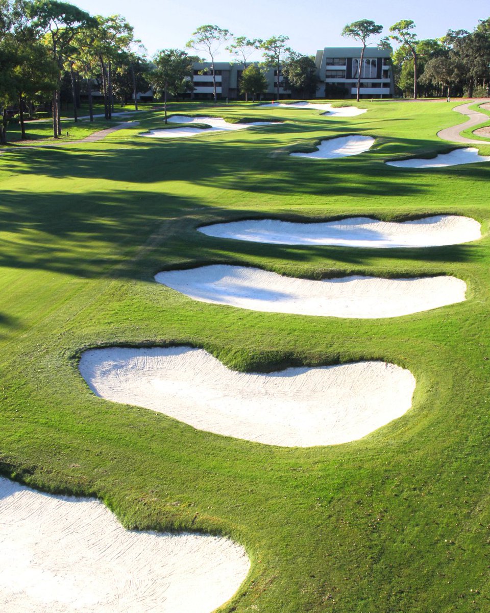 Innisbrook Resort tweet media