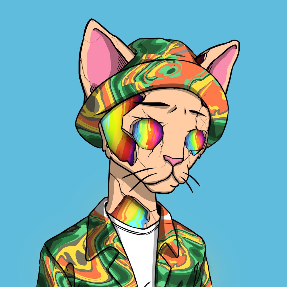 hodlⓨ.sol❓(33.3%) tweet media