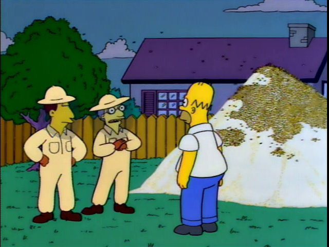 TCEd25's tweet photo. @Criminalsimpson Well, very clever Simpson. Luring our bees to your sugar pile and then selling them back to us at an inflated price https://t.co/WZi50MJY1W
