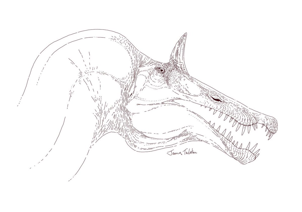 The King in the Desert