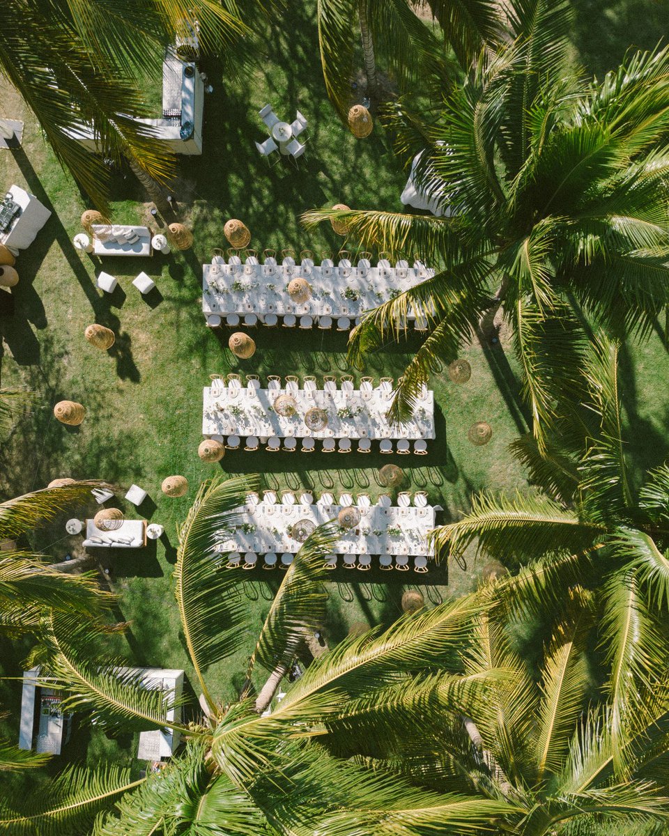 FSTamarindo's tweet image. Say I do in a destination designed for unforgettable celebrations.​

Di “sí, acepto” en un destino diseñado para celebraciones inolvidables.

#FSTamarindo #ExperienceFS
