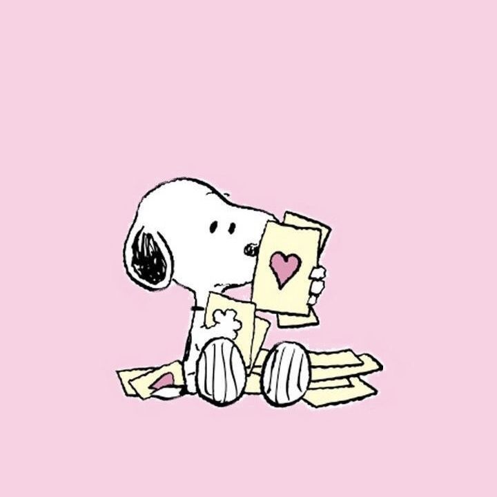 only cute things (@cutedreamvibes) on Twitter photo 