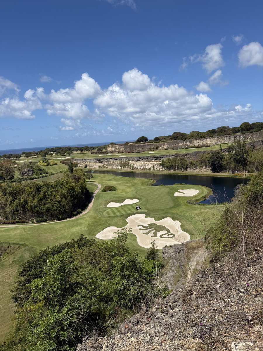 Daniel Grieve tweet media