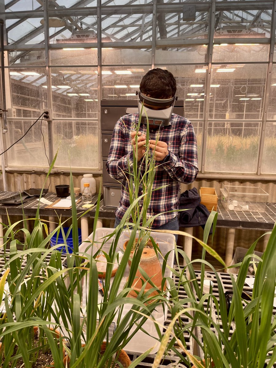 Anup Dhakal tweet media