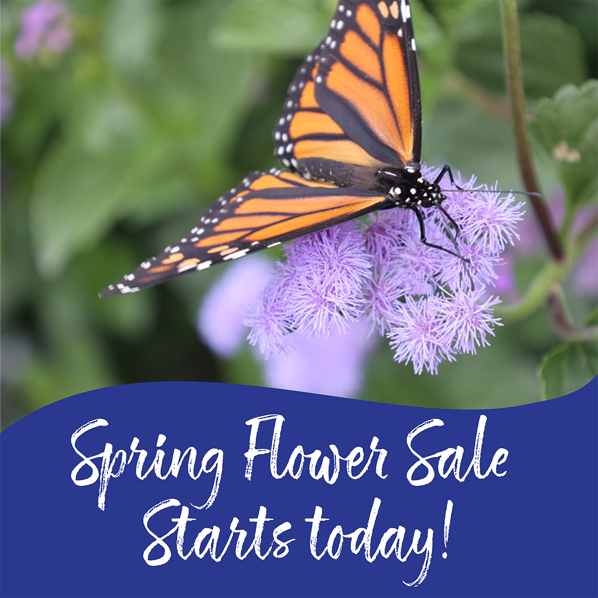 St. Michael Catholic School tweet media