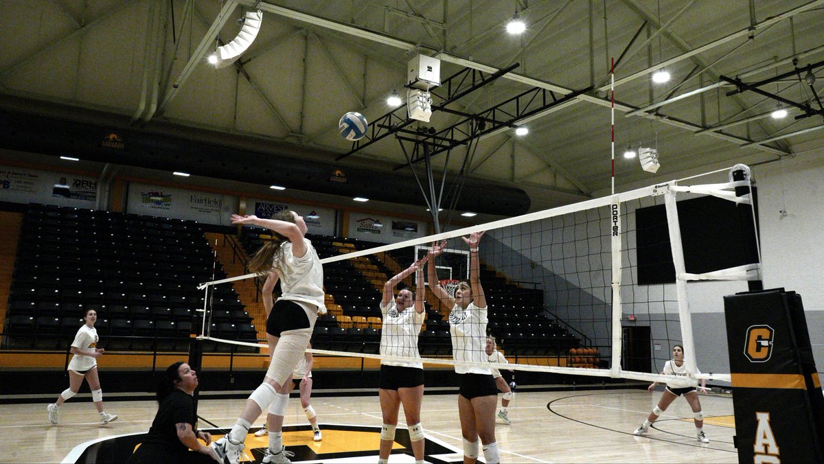 Cameron Volleyball tweet media